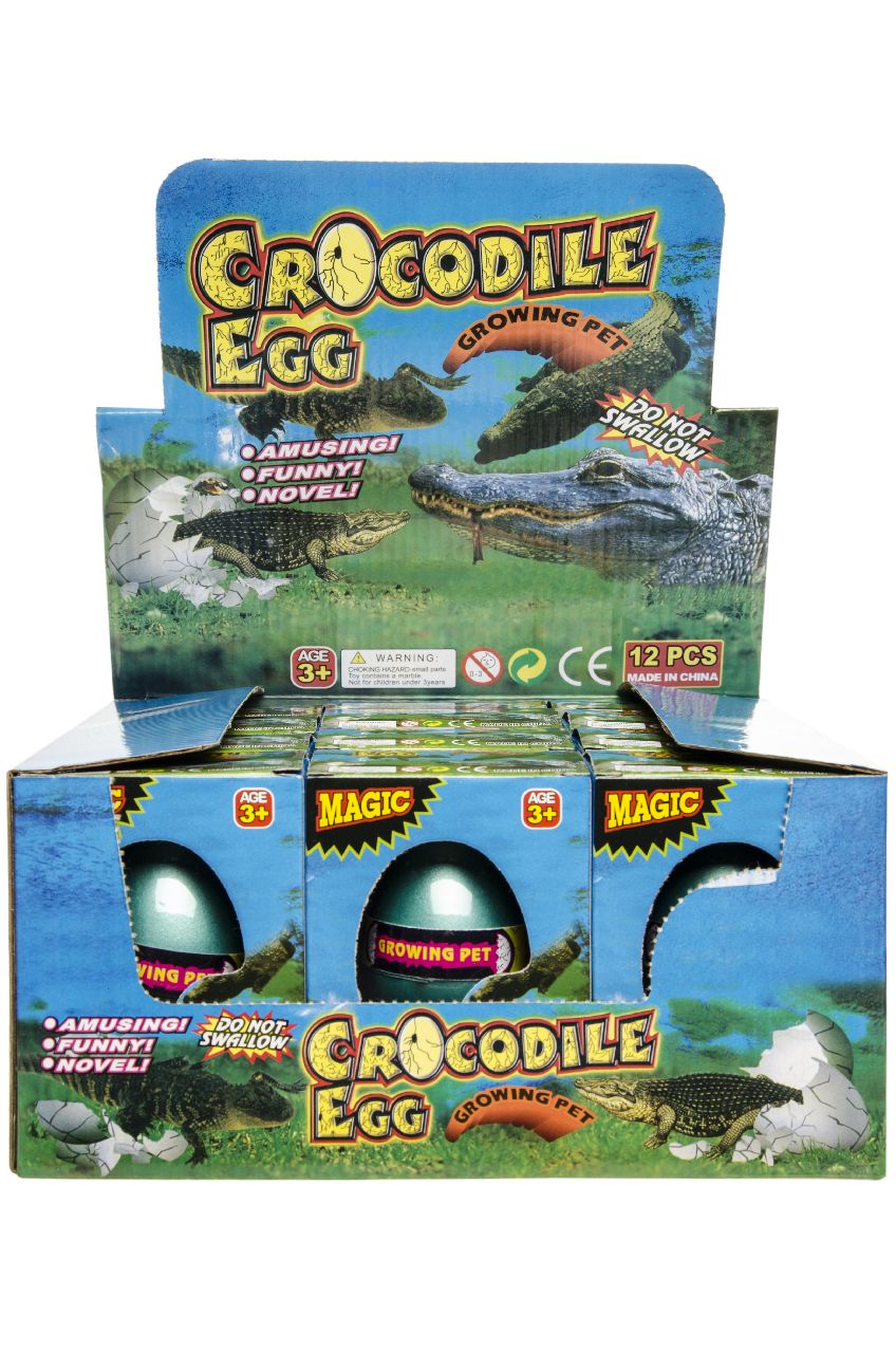 CROCODILE GROWING EGG BOX